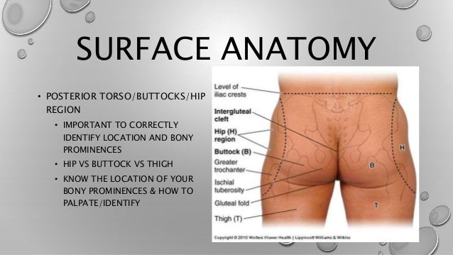 Wound Care Descriptive Terms Wound Care Descriptive Terms