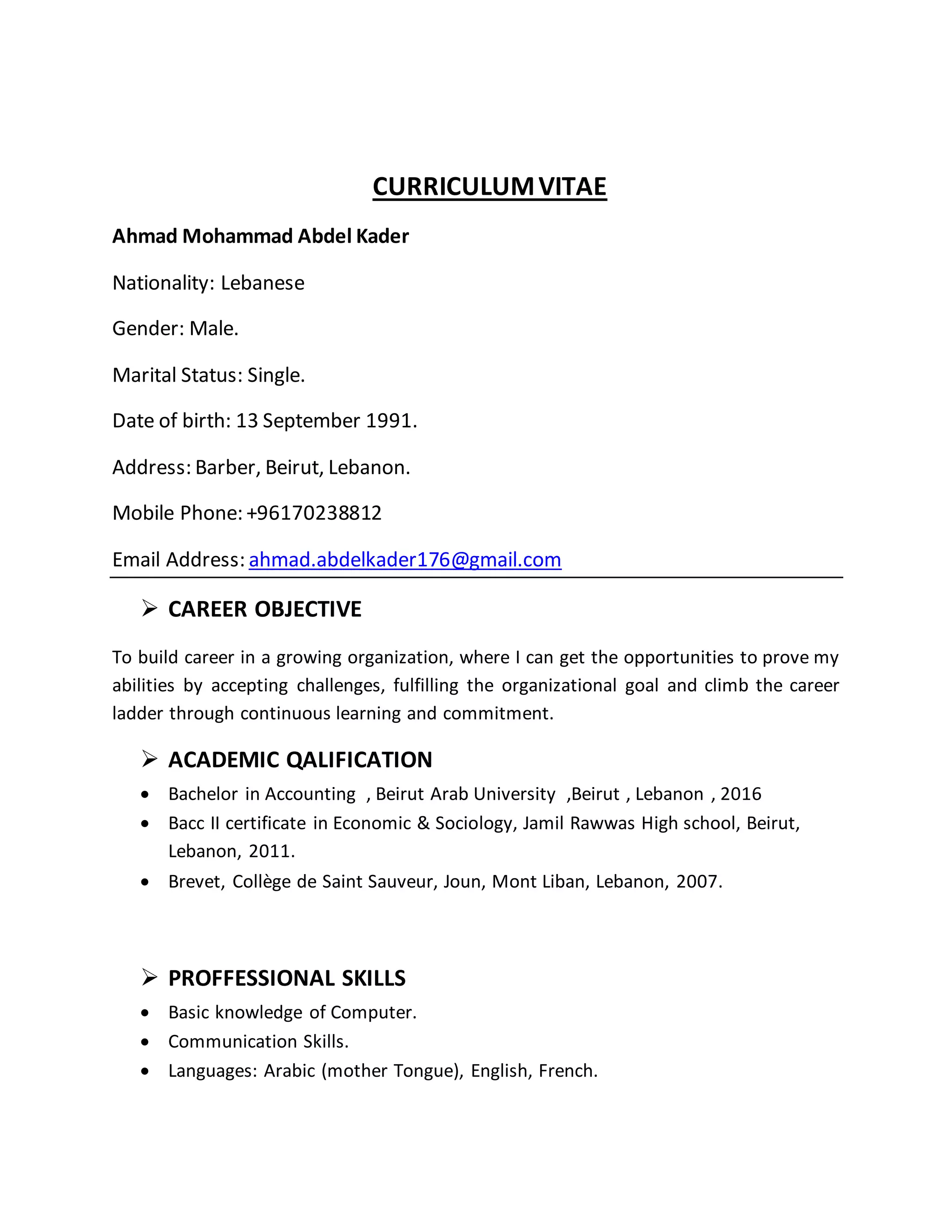 AHMAD ABDEL KADER - CV | DOCX