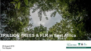 TRILLION TREES & FLR in East Africa
29 August 2018
Tim Rayden
 