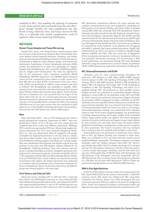 740 | CANCER DISCOVERY JUNE 2014 www.aacrjournals.org
Horwitz et al.RESEARCH ARTICLE
sorafenib in HCC, thus enabling the tailoring of treatment
to only those patients who may beneﬁt from this side effect–
prone therapy. Notably, the same ampliﬁcation was also
found in lung, colorectal, bone, and breast cancers (44–48);
thus, it is plausible that similar considerations could be
applied to other tumors harboring VEGFA gains.
METHODS
Human Tissue Samples and Tissue Microarray
Human HCC tissues were obtained from resected patients from
the institutes of Basel University Hospital (Basel, Switzerland), Han-
nover Medical School Hospital (Hannover, Germany), and Heidel-
berg University Hospital (Heidelberg, Germany). Clinical information
included age at diagnosis, tumor diameter, gender, and survival time
information. Examination of tumor hematoxylin and eosin (H&E)
sections was performed by an expert liver pathologist (O. Pappo).
Samples from Heidelberg were also reviewed by Heidelberg patholo-
gists (C. Mogler and P. Schirmacher). The study was approved by
each of the institutions’ ethics committees—numbered 206/05
(Heidelberg), 660-2010 (Hannover), and EKBB20 (Basel). Required
cohort size was computed by power analysis to yield a power of at
least 90% with an α value of 0.05. Construction of the tissue micro-
array (TMA) was performed as follows: tissue samples were ﬁxed
in buffered 10% formaldehyde and embedded in parafﬁn. H&E-
stained sections were made from each selected primary block (named
donor blocks) to deﬁne representative tissue regions. Tissue cylinders
(0.6 mm in diameter) were then punched from the region of the
donor block with the use of a custom-made precision instrument
(Beecher Instruments). Afterward, tissue cylinders were transferred to
a 25 mm × 35 mm parafﬁn block to produce the TMAs. The resulting
TMA block was cut into 3-μm sections that were transferred to glass
slides by use of the Parafﬁn Sectioning Aid System (Instrumedics).
Sections from the TMA blocks were used for FISH analysis.
Mice
Male and female Mdr2−/−
mice on FVB background were held in
speciﬁc pathogen-free conditions. Experiments on Mdr2−/−
mice were
performed in cohorts of 10 to 20 mice each time; results show the
combined data from at least four different experiments. Wild-type
(WT) controls were age-matched FVB mice. Mouse body weights dur-
ing the experiments were 30 to 45 g. Sorafenib (Xingcheng Chemp-
harm Co., Ltd.) was administered daily (50 mg/kg) by oral gavage.
Cremophor EL (Sigma)/ethanol/water (1:1:6) was used as a vehicle.
Two hours before sacriﬁce, mice were injected with 10 μL BrdUrd
(Cell Proliferation labeling reagent; Amersham) per 1 g body weight.
Mice were anesthetized with ketamine and xylazine and the liver was
perfused via the heart with PBS–Heparin solution followed by 4%
formaldehyde. Following perfusion, livers were removed and sub-
jected to standard histologic procedures. Xenograft experiments were
performed by subcutaneous injection of transduced Hep3B cells (2.5
× 106
) suspended in 100 μL PBS and 100 μL Matrigel (Becton Dickin-
son) into NOD/SCID mice. Tumor volumes were assessed by external
measurement with calipers. All animal experiments were performed
in accordance with the guidelines of the institutional committee for
the use of animals for research. In all mouse experiments, the different
groups were housed together in the same cages.
Viral Vectors and Cultured Cells
Adenoviral vectors encoding GFP or GFP and sFLT—a kind gift
from David Curiel (Washington University, St. Louis, MO) and Yosef
Haviv (Hadassah Hospital, Jerusalem, Israel)—were prepared in GH354
cells using standard procedures. A titer of 109
transducing units was
injected into mice tail veins. Mice whose livers did not yield minimal
60% adenovector transduction efﬁciency (by tissue staining) were
excluded. Lentiviral-based vectors were prepared by subcloning the
PCR products of the human VEGFA165 gene [from cDNA of decidual
natural killer (NK) cells; a kind gift from Ofer Mandelboim, Hebrew
University, Jerusalem, Israel] into the pSC-B plasmid using the Strata-
Clone Kit (Stratagene), subsequently digested with BamHI and NotI
and subcloned into the self-inactivating lentiviral vector pHAGE (gift
of Gustavo Mostoslavsky, Boston University School of Medicine, Bos-
ton, MA) digested with BamHI and NotI. Lentivectors were produced
by cotransfection of the backbone vector plasmid with the gag-pol
and pMD.G plasmids and using standard procedures. Hep3B cells
(obtained from the ATCC) were grown in Dulbecco’s Modiﬁed Eagle
Medium (DMEM; 10% FBS). Cells were tested free of Mycoplasma
before transduction and injection. Lentivector transduction efﬁciency
was assessed by ﬂuorescent microscopy and was estimated as 80%.
In vitro proliferation was determined through XTT assay (Biological
Industries) using the manufacturer’s protocol. Murine recombinant
VEGF-A (R&D Systems) was used at the concentration of 100 ng/mL.
IHC, Immunoﬂuorescence, and ELISA
Antibodies used for tissue immunostaining throughout the
work were—vWF (dilution at 1:300; Dako), pHH3 (1:800; Upstate),
cleaved caspase-3 (1:200; Cell Signaling Technology), F4/80 (1:300;
Seroteq), HGF (1:100; R&D Systems), BrdUrd (1:200; NeoMarkers),
KDR (1:400; Cell Signaling Technology), Ki67 (1:100; NeoMarkers),
E-cadherin (1:100; Cell Signaling Technology), and VEGF (1× as
supplied; Spring). IHC was performed on 5-μm parafﬁn sections.
Antigen retrieval was performed in a decloaking chamber (Biocare
Medical) in citrate buffer for all antibodies except vWF and F4/80,
for which retrieval was performed with pronase (Sigma). Horserad-
ish peroxidase (HRP)–conjugated secondary antibodies for all IHC
antibodies used were Histoﬁne (Nichirei Biosciences), except for anti-
mouse–derived antibodies that were detected with Envison (Dako).
3,3′-Diaminobenzidine (DAB; Lab Vision) was used as a chromogen.
Immunohistochemical stainings were quantitated when indicated
using an Ariol SL-50 system (Applied Imaging). For quantiﬁcation
of nuclear immunostaining, the ki-sight module of the Ariol-SL50
robotic image analysis system was applied. This system designates
classiﬁers for positive (red-brown) and negative (azure) nuclei deﬁned
by color intensity, size, and shape. Each tumor cell nucleus (distin-
guished by morphology) was designated as either positive or negative
by these parameters. The fraction of positive cells was calculated
from counting at least ﬁve randomly selected ﬁelds in each tumor.
Immunoﬂuoresence was performed on snap-frozen tissue embed-
ded in OCT gel (Sakura Finetek) and sectioned to 8-μm slices.
Slides were incubated at 37°C and ﬁxed with both acetone and 4%
paraformaldehyde sequentially. Fluorophore-conjugated secondary
antibodies used were donkey anti-goat Alexa Fluor 647 (Invitro-
gen), donkey anti-rabbit Cy2/Cy5, donkey anti-mouse Cy3, and goat
anti-rat Cy3 (The Jackson Laboratory). Hoechst 33342 was used as
a nuclear marker (Invitrogen). Antibodies used for ﬂow FACS sort-
ing were CD45-paciﬁc blue, F4/80-PE (both 1:50; BioLegend), and
Meca32-biotin (1:50; BioLegend) used with streptavidin APC-Cy7
(BD Biosciences). Flow cytometry–based cell sorting was performed
in a FACSAria III cell sorter (BD Biosciences). VEGF-A ELISA was
performed using Quantikine mouse ELISA kit (R&D Systems).
DNA In Situ Hybridizations
Probes for CISH analysis of mouse tumors were prepared from the
BAC clones RP24-215A3 for the murine Chromosome 17 (BACPAC
resources center). BAC clones were labeled with DIG using Nick-
Translation mix (Roche). Mouse Cot-1 DNA (Invitrogen) and soni-
cated murine genomic DNA were added to the probe for background
block. Tissues were prepared by boiling in pretreatment buffer and
digestion with pepsin (Zymed). Hybridization was performed at 37°C
on March 27, 2016. © 2014 American Association for Cancer Research.cancerdiscovery.aacrjournals.orgDownloaded from
Published OnlineFirst March 31, 2014; DOI: 10.1158/2159-8290.CD-13-0782
 