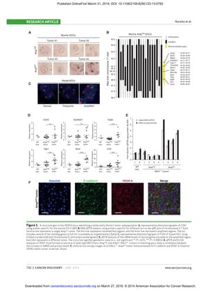 732 | CANCER DISCOVERY JUNE 2014 www.aacrjournals.org
Horwitz et al.RESEARCH ARTICLE
A B
n.s.
WT
liver
Amp
neg
tumor
Amppos
tumor
***
** ***
*** ***
Cul9
D E
0
1
2
3
4
5
6
7
1 2 1 2 3 4 1 2 3 4
Vegfa mRNA (qPCR)
VEGF-A protein (ELISA)
Foldinduction(qPCR)pg/µgprotein(ELISA)
Mdr2–/–
tumors
C
Normal Polysomic Amplified
Murine HCCs
Tumor #1 Tumor #2
Tumor #3
HumanHCCs
Tumor #4
Ampneg
Amppos
Mbpfromchromosome17start
Murine Amppos
HCCs
43.3
43.8
44.4
45.0
45.7
45.9
46.16
46.4
46.9
48.5
46.15–46.17Vegfa
45.82–45.84Mrpl14
45.78–45.82Tmem63b
45.77–45.79Capn11
46.39–46.41Tjap1
46.33–46.37Xpo5
45.71–45.71Hsp90ab1
46.24–46.26Mrps18a
45.69–45.70Nfkbie
46.43–46.44Egfl9
45.64–45.66Aars2
44.36–44.41Cdc5L
46.63–46.68Parc
46.86–46.87Gnmt
47.4
47.9
Amplified
Nonamplified
Minimal amplified region
F
Hoechst E-cadherin VEGF-A Merge
Amppostumor
10
8
6
4
2
0
5
4
3
2
1
0
Cdc5L
Tjap1 Xpo5
Hsp90ab1 Vegfa
6
4
2
0
Relativeexpression
40
30
20
10
0
8
6
4
2
0
6
4
2
0
Relativeexpression
Relativeexpression
Relativeexpression
Relativeexpression
Relativeexpression
WT
liver
Amp
neg
tumor
Amppos
tumor
WT
liver
Amp
neg
tumor
Amppos
tumor
WT
liver
Amp
neg
tumor
Amp
pos
tumor
WT
liver
Amp
neg
tumor
Amp
pos
tumor
WT
liver
Amp
neg
tumor
Amp
pos
tumor
WT
liver
Ampneg
Amppos
Figure 1. A recurrent gain in the VEGFA locus identifying a molecularly distinct tumor subpopulation. A, representative photomicrographs of CISH
using probes speciﬁc for the murine Chr17qB3. B, DNA qPCR analysis using primers speciﬁc for different loci on the qB3 arm of chromosome 17. Each
vertical line represents a single Amppos
tumor. The thin line represents nonampliﬁed regions, and the thick line represents ampliﬁed regions. The list
includes several of the residing genes (a full list is available as Supplementary Data). C, representative photomicrographs of FISH of human HCC using
Chr6p12 probe (red) and chromosome 6 centromere probe (green). D, qPCR analysis of the mRNA levels of murine genes encoded on the ampliﬁed region.
Each dot represents a different tumor. The cross line signiﬁes geometric mean (n.s., not signiﬁcant; **, P < 0.01; ***, P < 0.0001). E, qPCR and ELISA
analyses of VEGF-A performed on extracts of wild-type (WT) livers, Ampneg
, and Amppos
Mdr2−/−
tumors in matching pairs show a correlation between
the increase in mRNA and protein levels. F, confocal microscopy images of an Mdr2−/−
Amppos
tumor immunostained for E-cadherin and VEGF-A. Hoechst
33342 marks nuclei. Scale bar, 20 μm.
on March 27, 2016. © 2014 American Association for Cancer Research.cancerdiscovery.aacrjournals.orgDownloaded from
Published OnlineFirst March 31, 2014; DOI: 10.1158/2159-8290.CD-13-0782
 