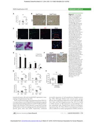 JUNE 2014 CANCER DISCOVERY | 735
VEGFA Ampliﬁcation in HCC RESEARCH ARTICLE
Figure 3. A macrophage-
tumor cell cross-talk within
Amppos
tumors. A, qPCR
analysis of Hgf mRNA in WT
livers, Ampneg
, and Amppos
tumors. The cross line signi-
ﬁes geometric mean (**,
P < 0.001). B, representative
photomicrographs of IHC for
HGF on Ampneg
and Amppos
tumors. Scale bar, 100 μm.
C, representative confocal
microscopy images of Amppos
tumor immunostained for
vWF, F4/80, and HGF. Hoechst
33342 marks nuclei. Scale
bar, 40 μm. D, representative
cytospin preparations of
macrophage and hepatocyte
fractions from Mdr2−/−
liv-
ers. E, qPCR analysis of
hepatocyte and macrophage
fractions (n = 11 different
mice), isolated from livers of
Mdr2−/−
mice. Bars represent
geometric mean (**, P < 0.001;
***, P < 0.0001). F, representa-
tive photomicrograph of IHC
for the VEGFR KDR in Ampneg
and Amppos
tumors. Note
that the expression of KDR is
conﬁned to endothelial and
stromal cells. Scale bar, 100 μm.
G, mRNA qPCR analysis
for the VEGFRs Kdr and Flt1
and the macrophage and
endothelium markers Msr1 and
Cd105 on tissue lysates from
the indicated groups. Each dot
represents a different tumor.
The cross line represents geo-
metric mean (***, P < 0.0001).
H, peritoneal macrophages
were cultured under serum-free
conditions followed by 8 hours
of exposure to recombinant
murine VEGF-A (100 ng/mL).
Hgf expression was measured
by qPCR. Bars represent
geometric mean; n ≥ 3;
*, P < 0.05.
C
B
HGF
**
D
FE
KDR
**
***
0
2
4
6
8
10
12
14
16
18
Flt1 Kdr Nrp1 Nrp2 Met
Relativeexpression
Hepatocytes
Macrophages
**
**
**
***
Kdr
***
Flt1
***
Msr1
***
Cd105
A
G
H&E
H
*
Hgf
Peritoneal
macrophages
vWF F4/80 HGF
Macrophages Hepatocytes
Merge
Ampneg tumor
Ampneg
Amppos tumor
Amppos
Amppostumor
WT
Hgf
6
4
2
Relativeexpression
0
liver
Amp
neg
tumor
Amppos
tumor
3 5
2.5
2.0
1.5
1.0
0.5
0.0
NT 8h rVEGF-A
4
3
2
1
0
2
1
RelativeexpressionRelativeexpression
RelativeexpressionRelativeexpression
Relativeexpression
0
10 3
2
1
0
8
6
4
2
0
WT
liver
Amp
neg
tumor
Amp
pos
tumor
WT
liver
Amp
neg
tumor
Amp
pos
tumor
WT
liver
Ampneg
tumor
Amp
pos
tumor
WT
liver
Amp
neg
tumor
Amp
pos
tumor
transduced tumor cells and revealed HGF expression in mac-
rophages (Supplementary Fig. S7A).
Next, we generated single-cell suspensions from VEGF-A–
overexpressingorcontrolHep3BZsGreen-labeledxenografts
andisolatedmacrophages(ZsGreen−
CD45+
F4/80+
)andendo-
thelial cells (ZsGreen−
CD45−
Meca32+
) using FACS sorting.
qPCR analysis of the macrophage-speciﬁc and endothelium-
speciﬁc genes, Msr1 and Cd105, respectively, conﬁrmed
successful separation of cell populations (Supplementary
Fig. S7B). Although VEGF-A and control tumor groups
did not show signiﬁcant differences in the TAM genes Tgfb,
Ym1, Tnfa, and Nos2 (Supplementary Fig. S7C), we found
a 2-fold increase in Hgf expression in macrophages, but
not endothelial cells, isolated from VEGF-A–overexpress-
ing tumors (Fig. 5F). Thus, VEGF-A overexpression by HCC
cells is sufﬁcient to induce upregulation of HGF, mostly in
on March 27, 2016. © 2014 American Association for Cancer Research.cancerdiscovery.aacrjournals.orgDownloaded from
Published OnlineFirst March 31, 2014; DOI: 10.1158/2159-8290.CD-13-0782
 