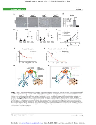 738 | CANCER DISCOVERY JUNE 2014 www.aacrjournals.org
Horwitz et al.RESEARCH ARTICLE
Figure 7. Amppos
tumors are uniquely sensitive to sorafenib. A, representative BrdUrd immunostains. Scale bar, 100 μm. B, BrdUrd immunostaining was
quantiﬁed using automated image analysis (n ≥ 6; *, P < 0.05). C, qPCR analysis of Ampneg
and Amppos
tumors treated as indicated. Each dot represents a
different tumor. The cross line signiﬁes geometric mean (n.s., not signiﬁcant; *, P < 0.01). D, growth curves of xenografts transduced with control (dashed
lines) or VEGF-A (solid lines) lentivectors, treated daily with sorafenib (gray lines) or nontreated (NT, black lines). Tumor volumes were measured with
a caliper (n ≥ 6; *, P < 0.05). E, Kaplan–Meier curves showing survival of resected HCC patients negative (n = 96) or positive (n = 14) for VEGFA gain
(p log-rank > 0.05). F, Kaplan–Meier curves showing survival of patients with HCC treated with sorafenib, negative (n = 47, 10 months median) or positive
for VEGFA gain (n = 7; median undeﬁned; plog-rank = 0.029). G and H, genomic gains in VEGFA promote tumorigenesis through the microenvironment.
G, an increase in VEGFA gene copy number in liver tumor cells leads to elevated VEGF-A secretion. VEGF-A modulates the tumor microenvironment in
favor of tumor cell growth through several modes: (i) recruitment of TAMs expressing the mitogen HGF and (ii) activating the liver endothelium to secrete
angiocrine factors and enhance the tumor blood supply. H, inhibition of VEGF-A through soluble receptor or sorafenib results in decreased HGF signaling
and blood supply, impeding tumor growth.
Resected patients treated with sorafenib
B
0
0.2
0.4
0.6
0.8
1
1.2
1.4
1.6
1.8
2 *
BrdUrd Ampneg
vehicle
Ampneg
sorafenib
Amppos
vehicle
Amppos
sorafenib
Percentagepositivenuclei
BrdUrd
Amp
neg
Veh
Amp
neg
Sor
Amp
pos
Veh
Amp
pos
Sor
C
*
Hgf
0
1
2
3
4
Relativeexpression
Vegfa
0
2
4
6
8
10
Relativeexpression
n.s.
A
Resected HCC patients
Percentagesurvival
VEGFA gains
Normal VEGFA
VEGFA gains
Normal VEGFA
FE
HG
Daily treatment period
Tumorvolume(mm2
)
D 1,500
Control - NT
Control - Sorafenib
VEGFA - NT
VEGFA - Sorafenib
1,000
500
0
0
100
50
0
0 1,000 2,000
Days
3,000 4,000 5,000 0
0
Percentagesurvival
100
50
Plogrank = 0.029
500 1,000
Days
1,500 2,000
5 10
Days
15 20
*
*
Amp
neg
vehicle
Amp
neg
sorafenib
Amp
pos
vehicle
Amp
pos
sorafenib
Amp
neg
vehicle
Amp
neg
sorafenib
Amp
pos
vehicle
Amp
pos
sorafenib
VEGFA–amplified
malignant hepatocyte
Protumorigenic
macrophages
Angiocrine
factors
HGF
VEGF-A
Activated
endothelial
cells
VEGF-A
VEGF receptors
VEGF genomic region
HGF
C-Met
VEGFA–amplified
malignant hepatocyte
Decrease in mitogensAngiocrine
factors
HGF
VEGF-A
Decreased
vascularity
Soluble VEGF receptor
Sorafenib
on March 27, 2016. © 2014 American Association for Cancer Research.cancerdiscovery.aacrjournals.orgDownloaded from
Published OnlineFirst March 31, 2014; DOI: 10.1158/2159-8290.CD-13-0782
 