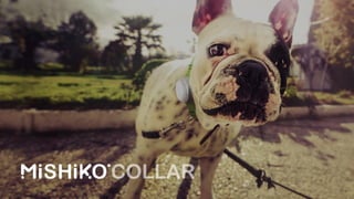 mishiko smart collar
