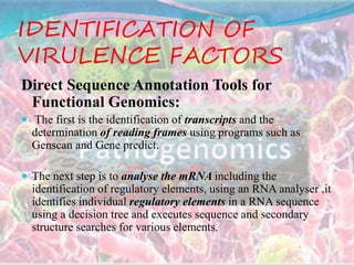 IDENTIFICATION OF
VIRULENCE FACTORS
Direct Sequence Annotation Tools for
Functional Genomics:
 The first is the identification of transcripts and the
determination of reading frames using programs such as
Genscan and Gene predict.
 The next step is to analyse the mRNA including the
identification of regulatory elements, using an RNA analyser ,it
identifies individual regulatory elements in a RNA sequence
using a decision tree and executes sequence and secondary
structure searches for various elements.
 