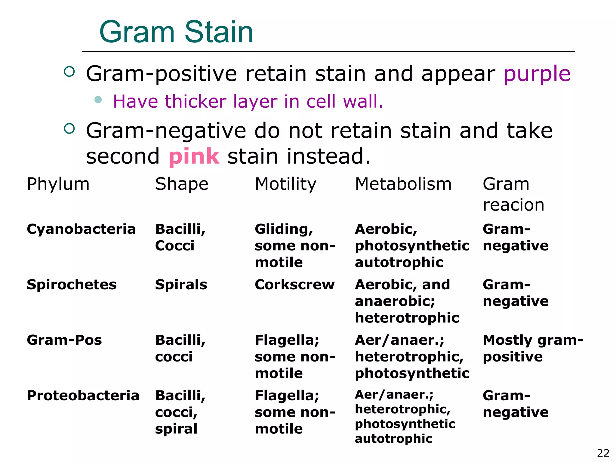 22
Gram Stain
 Gram-positive retain stain and appear purple
 Have thicker layer in cell wall.
 Gram-negative do not retain stain and take
second pink stain instead.
Phylum Shape Motility Metabolism Gram
reacion
Cyanobacteria Bacilli,
Cocci
Gliding,
some non-
motile
Aerobic,
photosynthetic
autotrophic
Gram-
negative
Spirochetes Spirals Corkscrew Aerobic, and
anaerobic;
heterotrophic
Gram-
negative
Gram-Pos Bacilli,
cocci
Flagella;
some non-
motile
Aer/anaer.;
heterotrophic,
photosynthetic
Mostly gram-
positive
Proteobacteria Bacilli,
cocci,
spiral
Flagella;
some non-
motile
Aer/anaer.;
heterotrophic,
photosynthetic
autotrophic
Gram-
negative
 