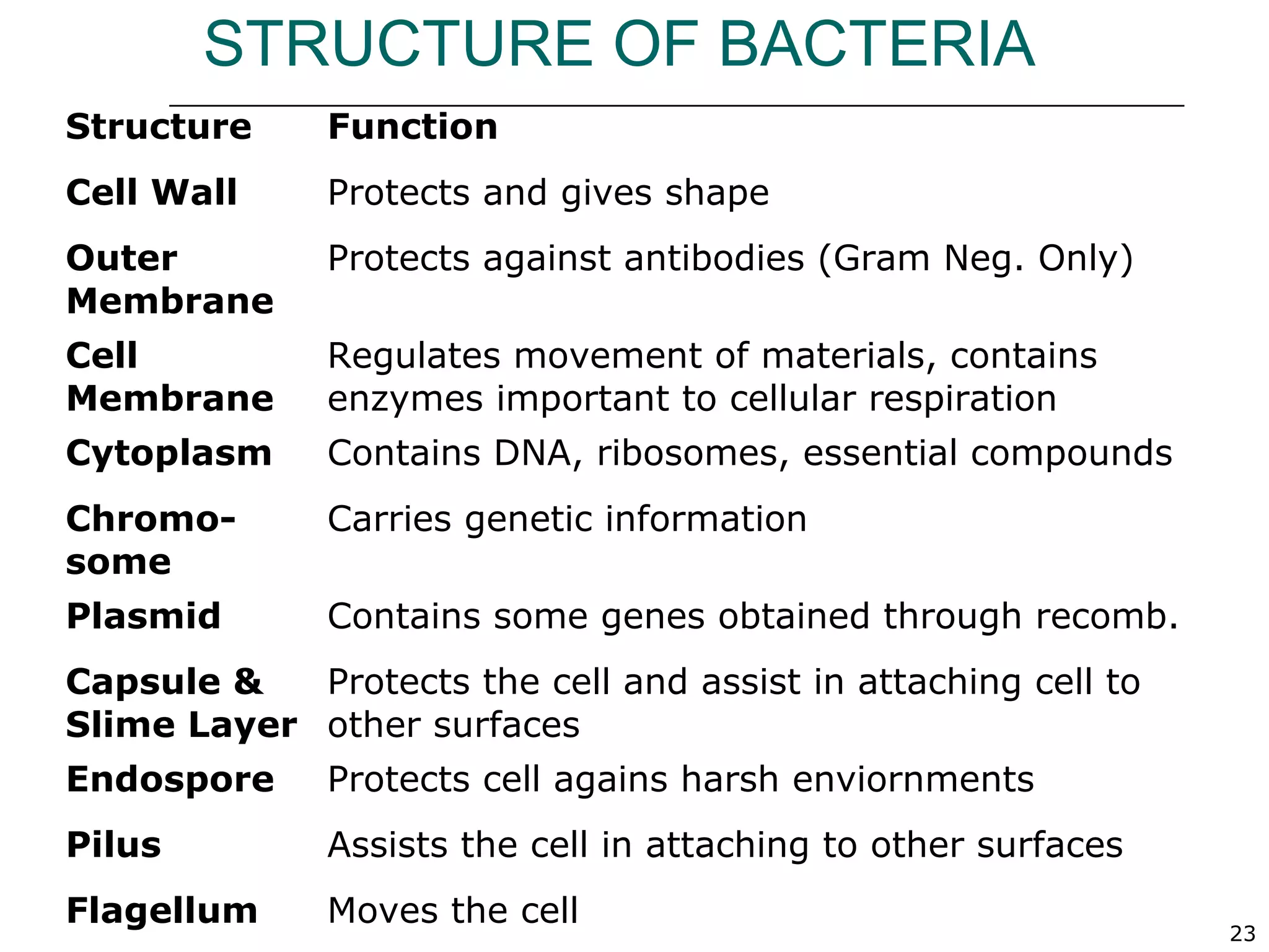 23
STRUCTURE OF BACTERIA
Structure Function
Cell Wall Protects and gives shape
Outer
Membrane
Protects against antibodies (Gram Neg. Only)
Cell
Membrane
Regulates movement of materials, contains
enzymes important to cellular respiration
Cytoplasm Contains DNA, ribosomes, essential compounds
Chromo-
some
Carries genetic information
Plasmid Contains some genes obtained through recomb.
Capsule &
Slime Layer
Protects the cell and assist in attaching cell to
other surfaces
Endospore Protects cell agains harsh enviornments
Pilus Assists the cell in attaching to other surfaces
Flagellum Moves the cell
 