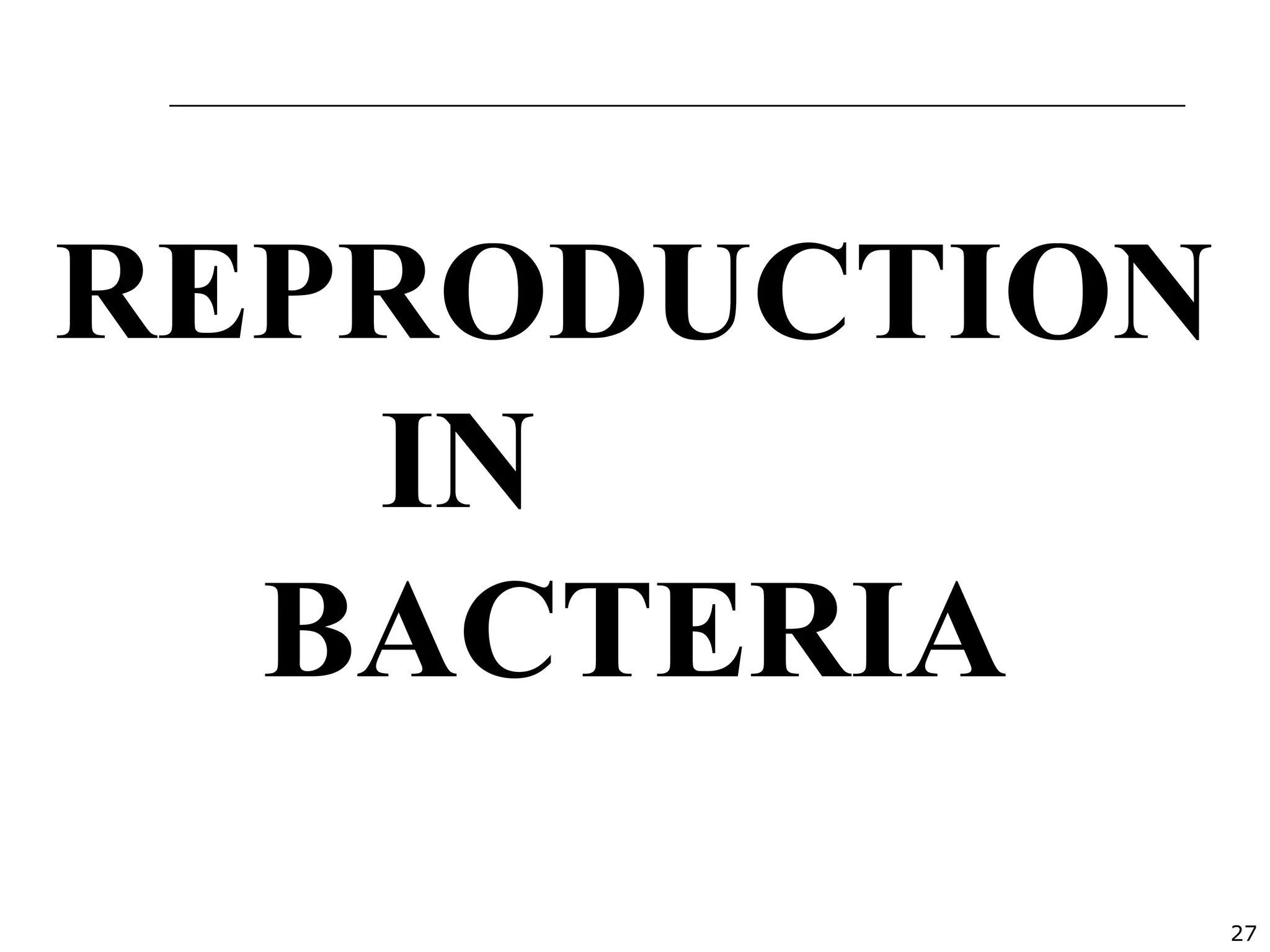 27
REPRODUCTION
IN
BACTERIA
 