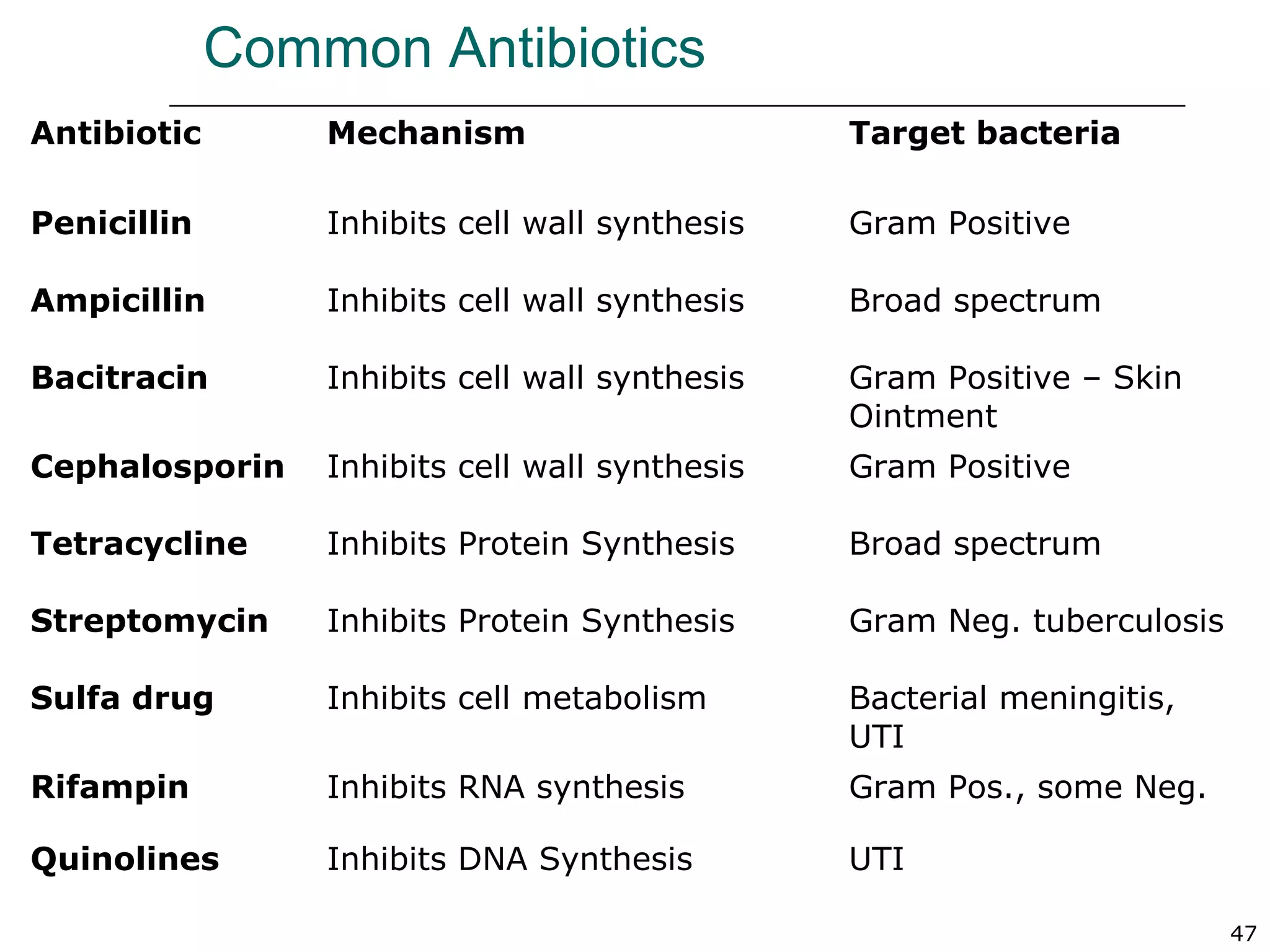 47
Common Antibiotics
Antibiotic Mechanism Target bacteria
Penicillin Inhibits cell wall synthesis Gram Positive
Ampicillin Inhibits cell wall synthesis Broad spectrum
Bacitracin Inhibits cell wall synthesis Gram Positive – Skin
Ointment
Cephalosporin Inhibits cell wall synthesis Gram Positive
Tetracycline Inhibits Protein Synthesis Broad spectrum
Streptomycin Inhibits Protein Synthesis Gram Neg. tuberculosis
Sulfa drug Inhibits cell metabolism Bacterial meningitis,
UTI
Rifampin Inhibits RNA synthesis Gram Pos., some Neg.
Quinolines Inhibits DNA Synthesis UTI
 