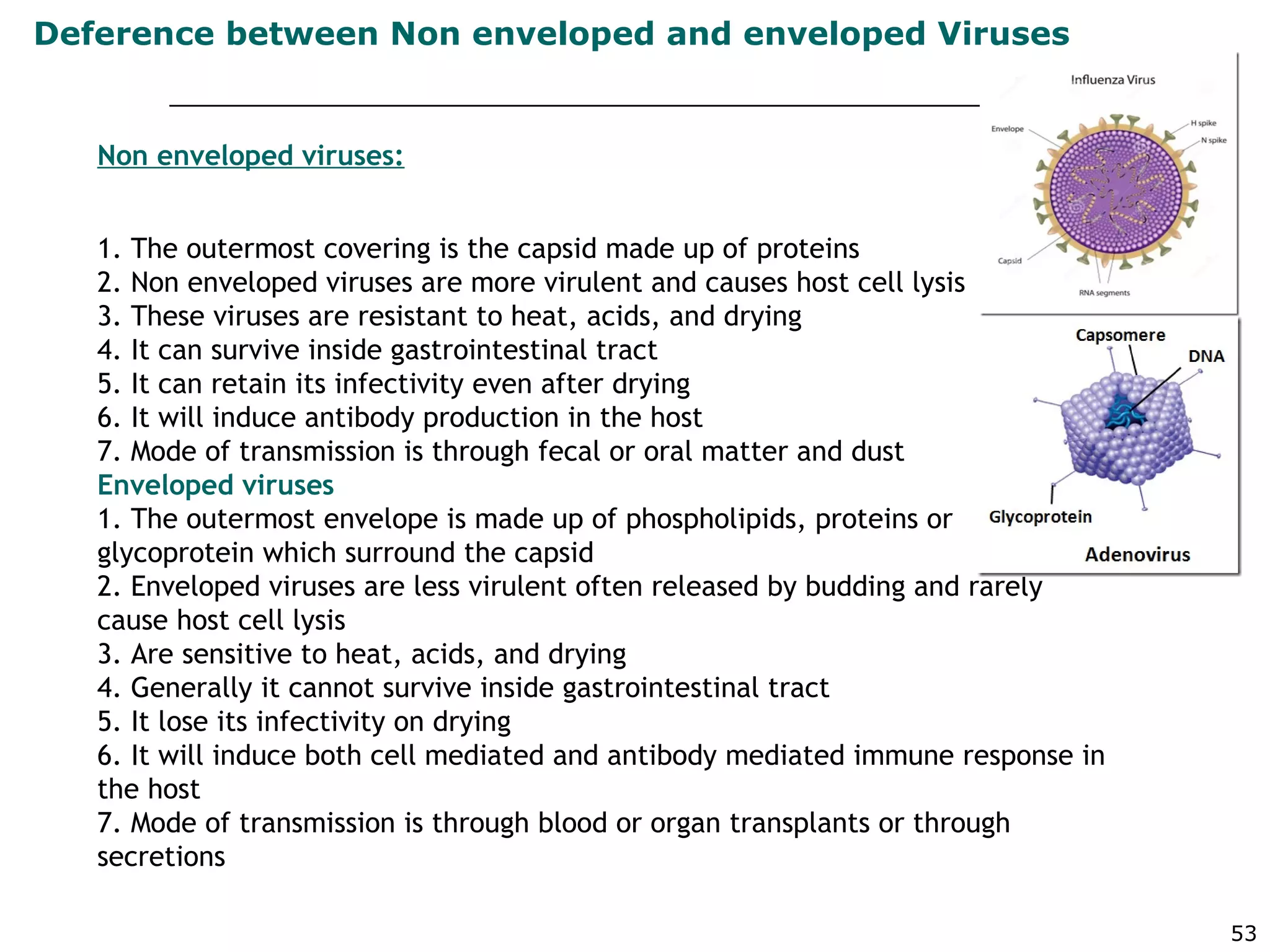 53
Non enveloped viruses:
1. The outermost covering is the capsid made up of proteins
2. Non enveloped viruses are more virulent and causes host cell lysis
3. These viruses are resistant to heat, acids, and drying
4. It can survive inside gastrointestinal tract
5. It can retain its infectivity even after drying
6. It will induce antibody production in the host
7. Mode of transmission is through fecal or oral matter and dust
Enveloped viruses
1. The outermost envelope is made up of phospholipids, proteins or
glycoprotein which surround the capsid
2. Enveloped viruses are less virulent often released by budding and rarely
cause host cell lysis
3. Are sensitive to heat, acids, and drying
4. Generally it cannot survive inside gastrointestinal tract
5. It lose its infectivity on drying
6. It will induce both cell mediated and antibody mediated immune response in
the host
7. Mode of transmission is through blood or organ transplants or through
secretions
Deference between Non enveloped and enveloped Viruses
 