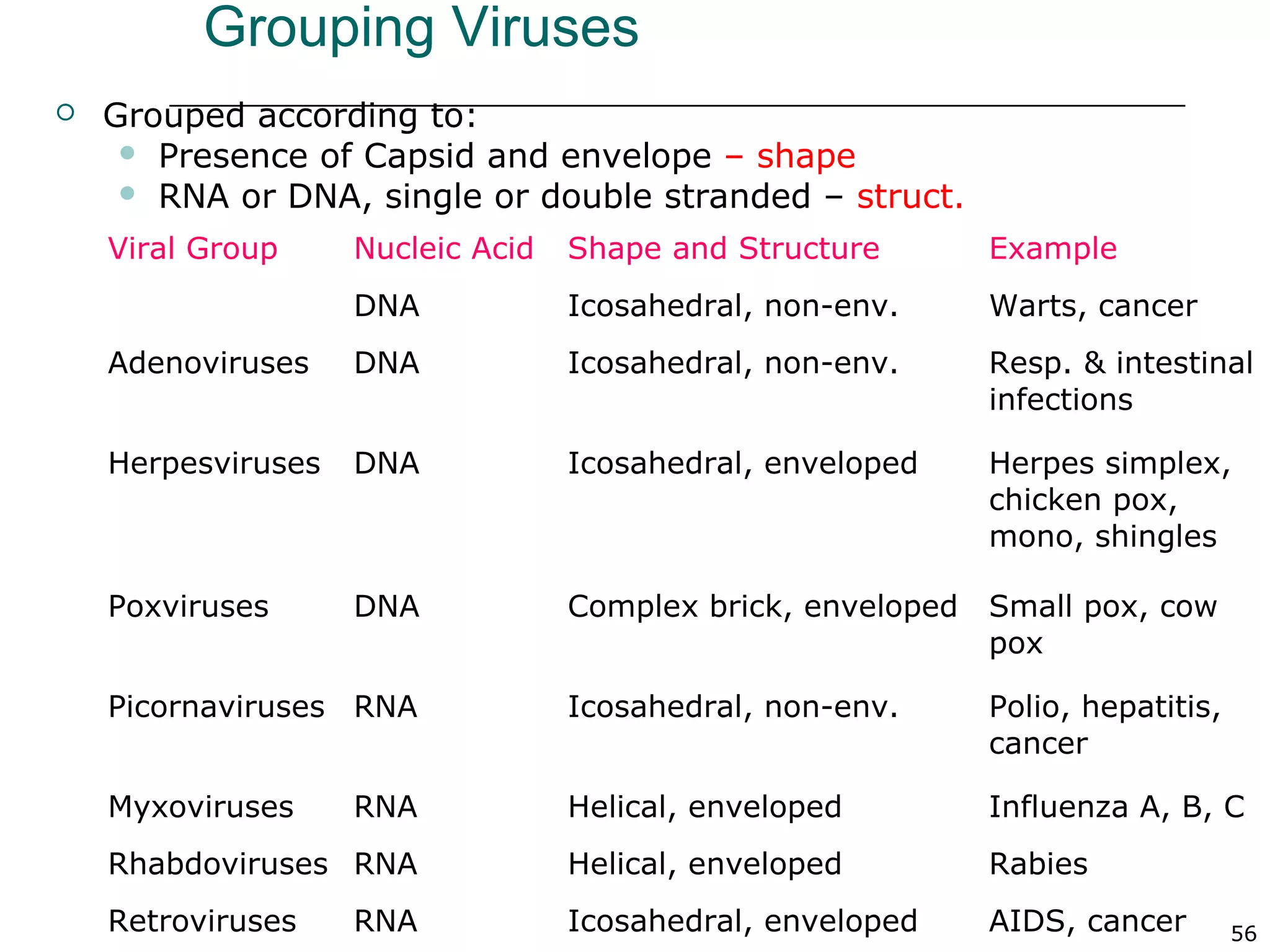 56
Grouping Viruses
 Grouped according to:
 Presence of Capsid and envelope – shape
 RNA or DNA, single or double stranded – struct.
Viral Group Nucleic Acid Shape and Structure Example
Papovaviruses DNA Icosahedral, non-env. Warts, cancer
Adenoviruses DNA Icosahedral, non-env. Resp. & intestinal
infections
Herpesviruses DNA Icosahedral, enveloped Herpes simplex,
chicken pox,
mono, shingles
Poxviruses DNA Complex brick, enveloped Small pox, cow
pox
Picornaviruses RNA Icosahedral, non-env. Polio, hepatitis,
cancer
Myxoviruses RNA Helical, enveloped Influenza A, B, C
Rhabdoviruses RNA Helical, enveloped Rabies
Retroviruses RNA Icosahedral, enveloped AIDS, cancer
 