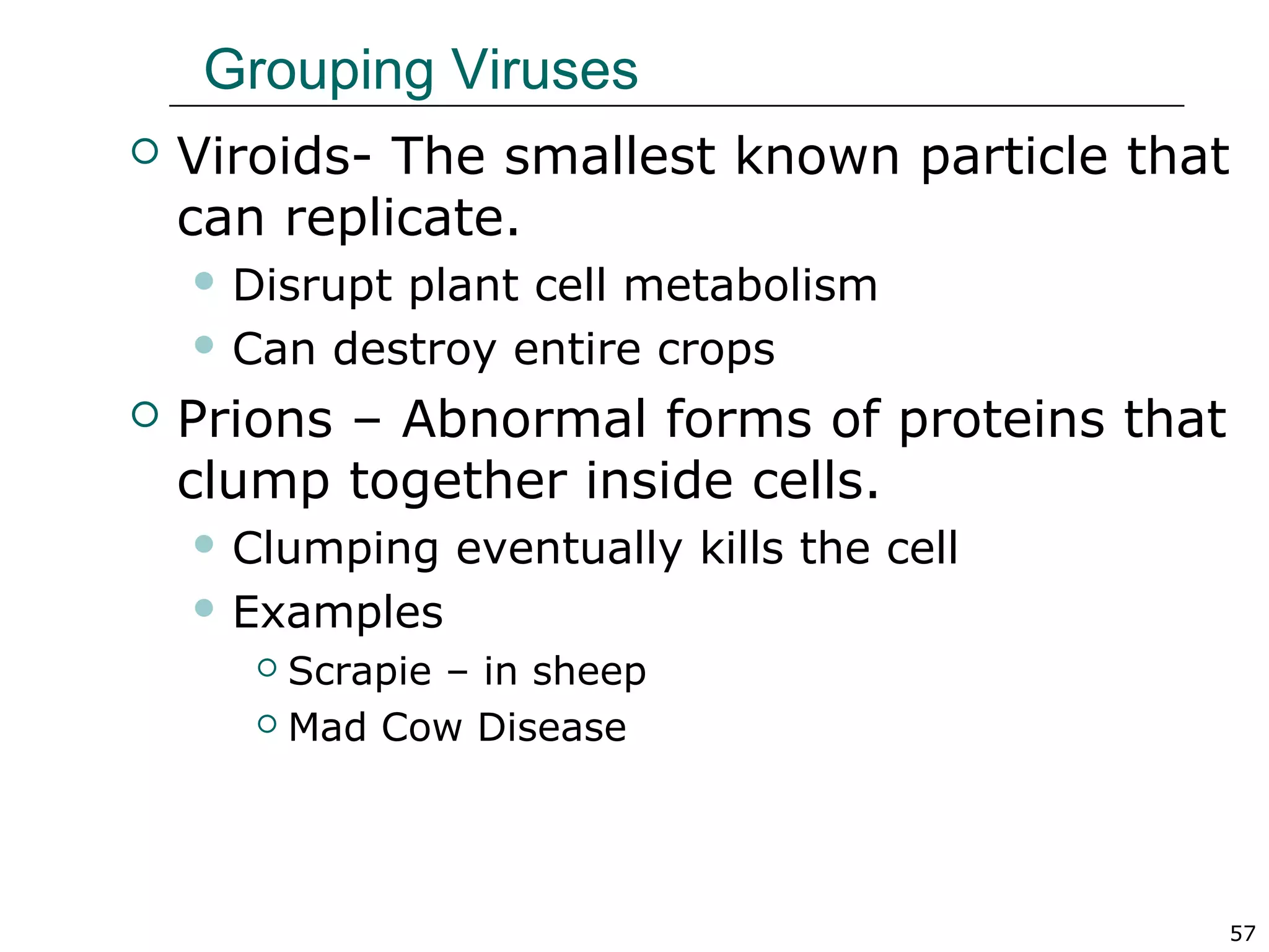 57
Grouping Viruses
 Viroids- The smallest known particle that
can replicate.
 Disrupt plant cell metabolism
 Can destroy entire crops
 Prions – Abnormal forms of proteins that
clump together inside cells.
 Clumping eventually kills the cell
 Examples
 Scrapie – in sheep
 Mad Cow Disease
 