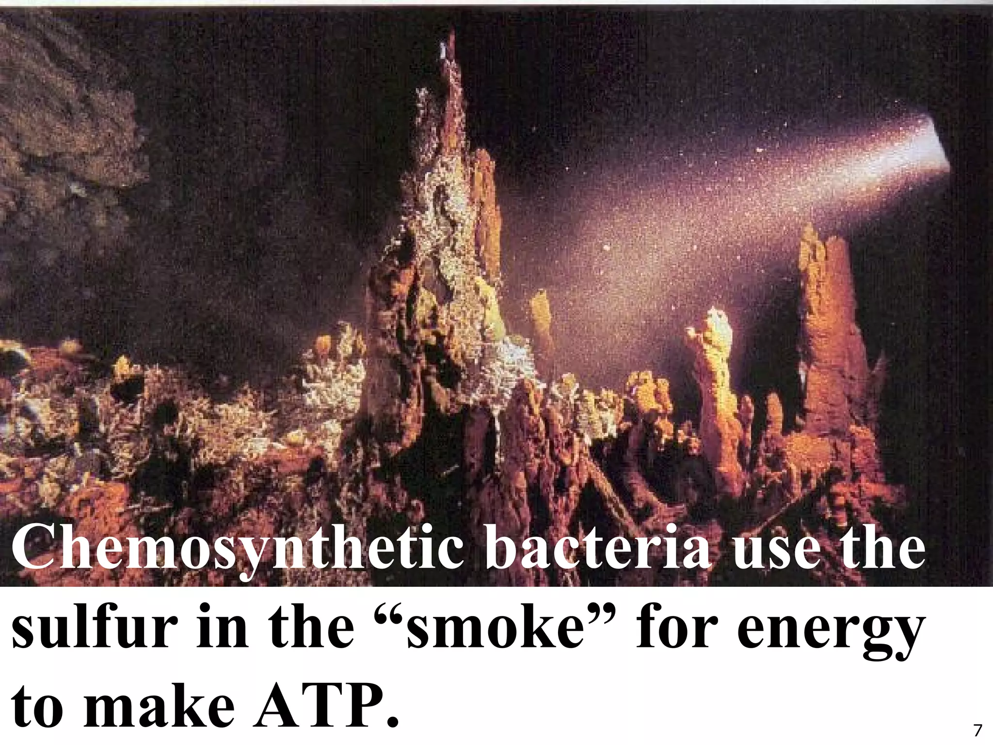 7
Chemosynthetic bacteria use the
sulfur in the “smoke” for energy
to make ATP.
 