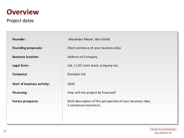 business overview template de micco friends free business plan template business overview template de micco friends free business plan template