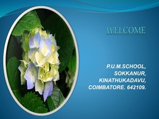 P.U.M.SCHOOL, 
SOKKANUR, 
KINATHUKADAVU, 
COIMBATORE. 642109. 
 