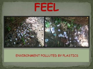 ENVIRONMENT POLLUTED BY PLASTICS 
 