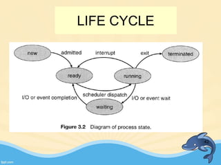 LIFE CYCLE
42
 