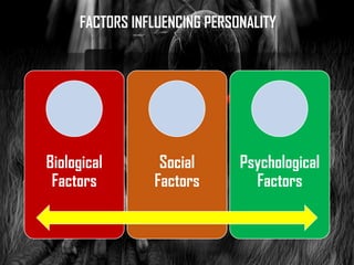 Personality introduction