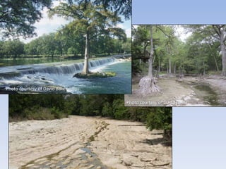 Photo courtesy of David Baker

                                Photo courtesy of David Baker
 