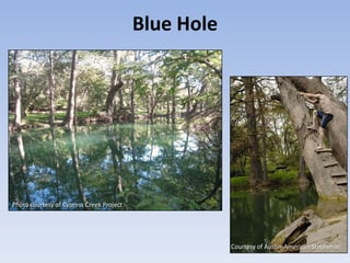 Blue Hole




Photo courtesy of Cypress Creek Project




                                                      Courtesy of Austin-American Statesman
 