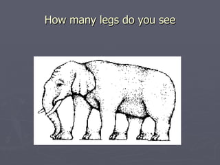 How many legs do you see 