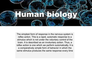 Human biology
The simplest form of response in the nervous system is
reflex action. This is a rapid, automatic response to a
stimulus which is not under the voluntary control of the
brain. It is described as an involuntary action. Thus, a
reflex action is one which we perform automatically. It is
a comparatively simple form of behavior in which the
same stimulus produces the same response every time
 