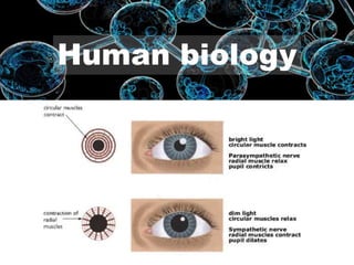 Human biology
 