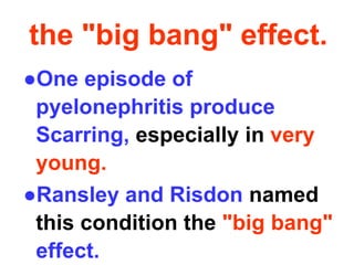 the "big bang" effect.
●One episode of
pyelonephritis produce
Scarring, especially in very
young.
●Ransley and Risdon named
this condition the "big bang"
effect.
 