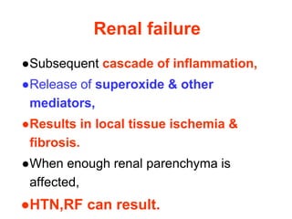 Renal failure
●Subsequent cascade of inflammation,
●Release of superoxide & other
mediators,
●Results in local tissue ischemia &
fibrosis.
●When enough renal parenchyma is
affected,
●HTN,RF can result.
 