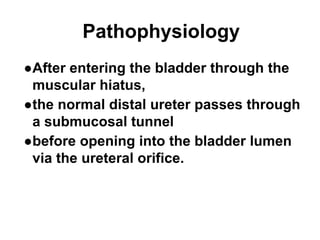 Pathophysiology
●After entering the bladder through the
muscular hiatus,
●the normal distal ureter passes through
a submucosal tunnel
●before opening into the bladder lumen
via the ureteral orifice.
 