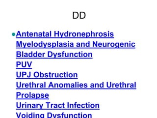 DD
●Antenatal Hydronephrosis
Myelodysplasia and Neurogenic
Bladder Dysfunction
PUV
UPJ Obstruction
Urethral Anomalies and Urethral
Prolapse
Urinary Tract Infection
 