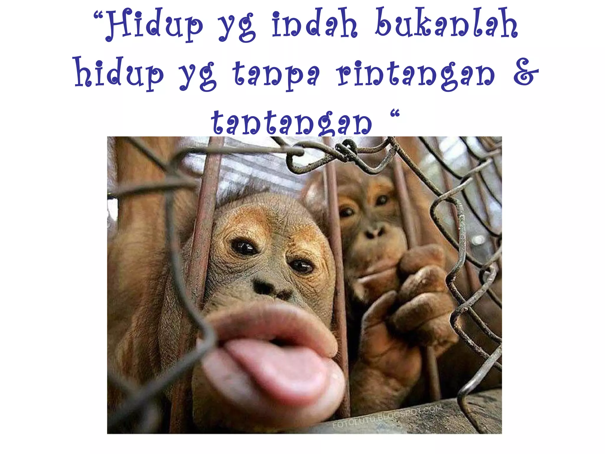 “ Hidup yg indah bukanlah hidup yg tanpa rintangan & tantangan “