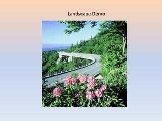 Landscape Demo