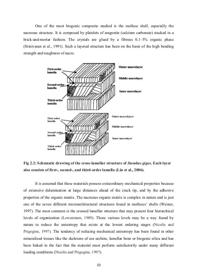 Thesis about synthetic materials