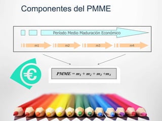 Componentes del PMME

        Período Medio Maduración Económico


   m1         m2             m3              m4
 