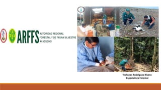 Ing. Daniel Pichiuza Nolasco
DFFS-DRAA
PRESENTACIÓN
Teofanes Rodriguez Rivera
Especialista Forestal
 