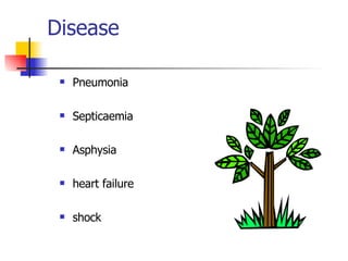 Disease Pneumonia Septicaemia Asphysia heart failure shock 