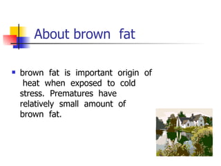About brown  fat brown  fat  is  important  origin  of  heat  when  exposed  to  cold  stress.  Prematures  have  relatively  small  amount  of  brown  fat.  