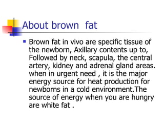 About brown  fat Brown fat in vivo are specific tissue of the newborn, Axillary contents up to, Followed by neck, scapula, the central artery, kidney and adrenal gland areas. when in urgent need , it is the major energy source for heat production for newborns in a cold environment.The source of energy when you are hungry are white fat . 