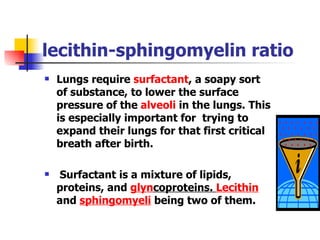 lecithin-sphingomyelin ratio Lungs require  surfactant , a soapy sort of substance, to lower the surface pressure of the  alveoli  in the lungs. This is especially important for  trying to expand their lungs for that first critical breath after birth. Surfactant is a mixture of lipids, proteins, and  gly n coproteins .  Lecithin  and  sphingomyeli  being two of   them. 