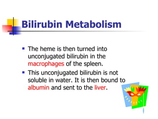 Bilirubin  Metabolism The heme is then turned into unconjugated bilirubin in the  macrophages  of the spleen.  This unconjugated bilirubin is not soluble in water. It is then bound to  albumin  and sent to the  liver .  