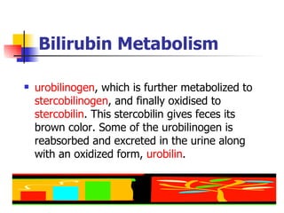 Bilirubin  Metabolism urobilinogen , which is further metabolized to  stercobilinogen , and finally oxidised to  stercobilin . This stercobilin gives feces its brown color. Some of the urobilinogen is reabsorbed and excreted in the urine along with an oxidized form,  urobilin . 