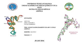 UNIVERSIDAD TÉCNICA DE MACHALA
UNIDAD ACADÉMICA DE CIENCIAS QUÍMICAS Y DE LA
SALUD
ESCUELA DE CIENCIAS MÉDICAS
GENÉTICA
ESTUDIANTES:
ANDY IZA
JAIRO CAJAMARCA
DAYAN ZAMBRANO
TEMA: MOLECULAS,PROCESAMIENTO DEL ARN Y CODIGO
GENETICO
SEMESTRE: SEGUNDO
PARALELO: “B”
JULIO 2016
 