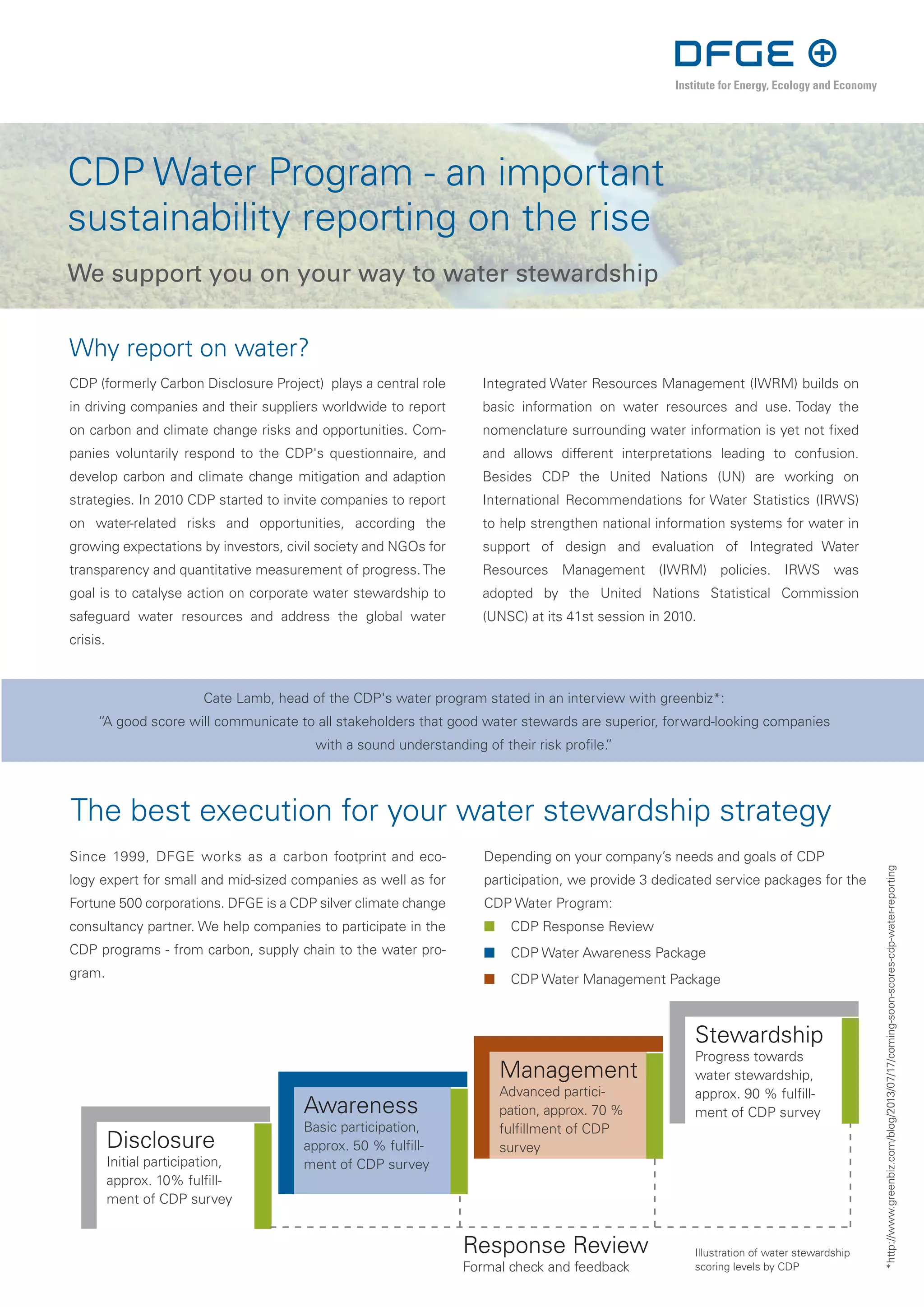 Cdp Service.pdf DFGE | CDP Water | Services | PDF