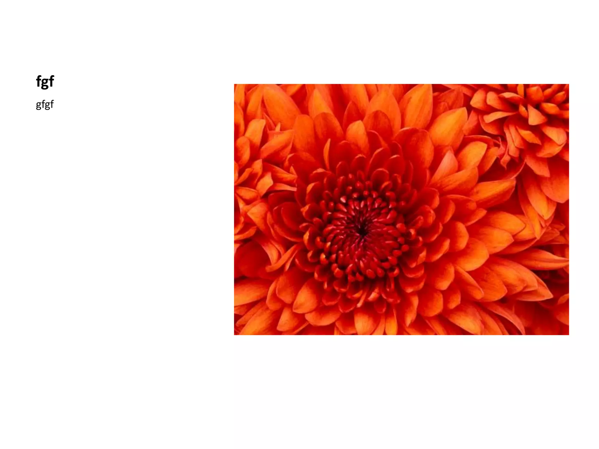 Milf Kendra Lust фотосуреті Үлкен сиськи порно онлайн көру