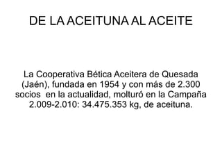 DE LA ACEITUNA AL ACEITE La Cooperativa Bética Aceitera de Quesada (Jaén), fundada en 1954 y con más de 2.300 socios  en la actualidad, molturó en la Campaña 2.009-2.010: 34.475.353 kg, de aceituna. 