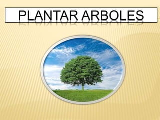 PLANTAR ARBOLES
 