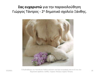 Σας ευχαριστώ για την παρακολούθηση
Γιώργος Τάντρος - 2ο δημοτικό σχολείο Ξάνθης.
Ο δωδεκάλογος του Υπέυθυνου Πολίτη απέναντι στα ζώα συντροφιάς απο το Ε1 του 2ου
δημοτικού σχολείου Ξανθης. Γιώργος Τάντρος.Γιώργος Τάντρος
20
7/3/2021
 