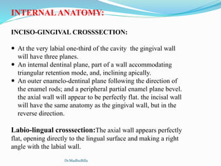 INTERNAL ANATOMY:
INCISO-GINGIVAL CROSSSECTION:
 At the very labial one-third of the cavity the gingival wall
will have three planes.
 An internal dentinal plane, part of a wall accommodating
triangular retention mode, and, inclining apically.
 An outer enamelo-dentinal plane following the direction of
the enamel rods; and a peripheral partial enamel plane bevel.
the axial wall will appear to be perfectly flat. the incisal wall
will have the same anatomy as the gingival wall, but in the
reverse direction.
Labio-lingual crosssection:The axial wall appears perfectly
flat, opening directly to the lingual surface and making a right
angle with the labial wall.
Dr.MadhuBilla
 