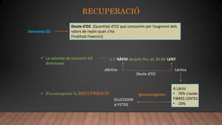 RECUPERACIÓ
Demanda O2
Deute d’O2 (Quantitat d’O2 que consumim per l’augment dels
valors de repòs quan s’ha
Finalitzat l’exercici)
 La velocitat de consumir O2
disminueix.
 S’aconsegueix la RECUPERACÓ
2-3’ RÀPID desprès fins als 30-60’ LENT
alàctica Làctica
Deute d’O2
A.Làctic
• 70% s’oxida
FIBRES LENTES
• 20%
gluconeogènesi
GLUCOGEN
al FETGE
 